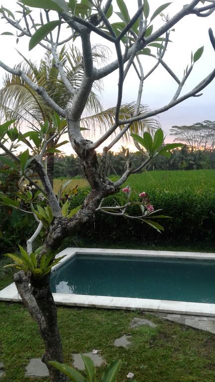 Thani Villa Ubud  Luaran gambar