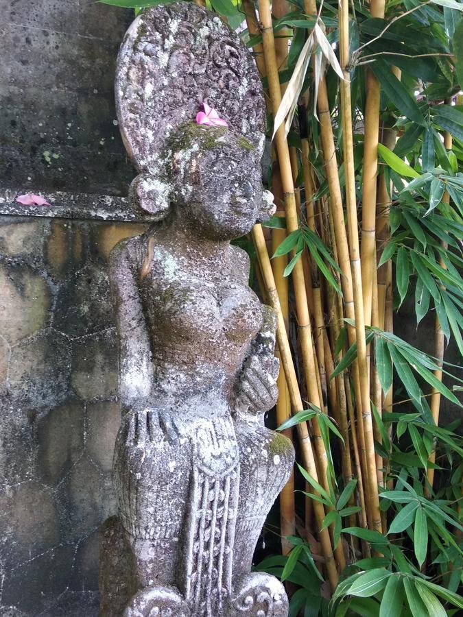 Thani Villa Ubud  Luaran gambar