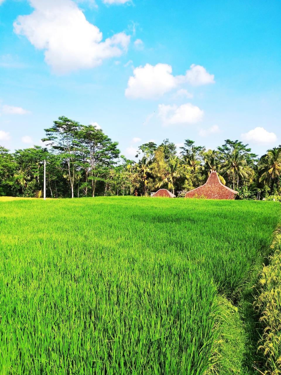 Thani Villa Ubud  Luaran gambar