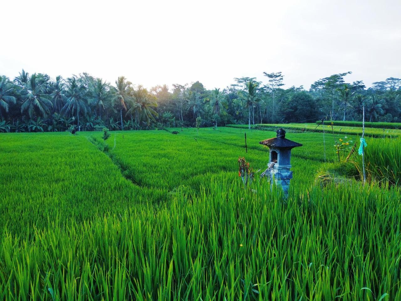 Thani Villa Ubud  Luaran gambar